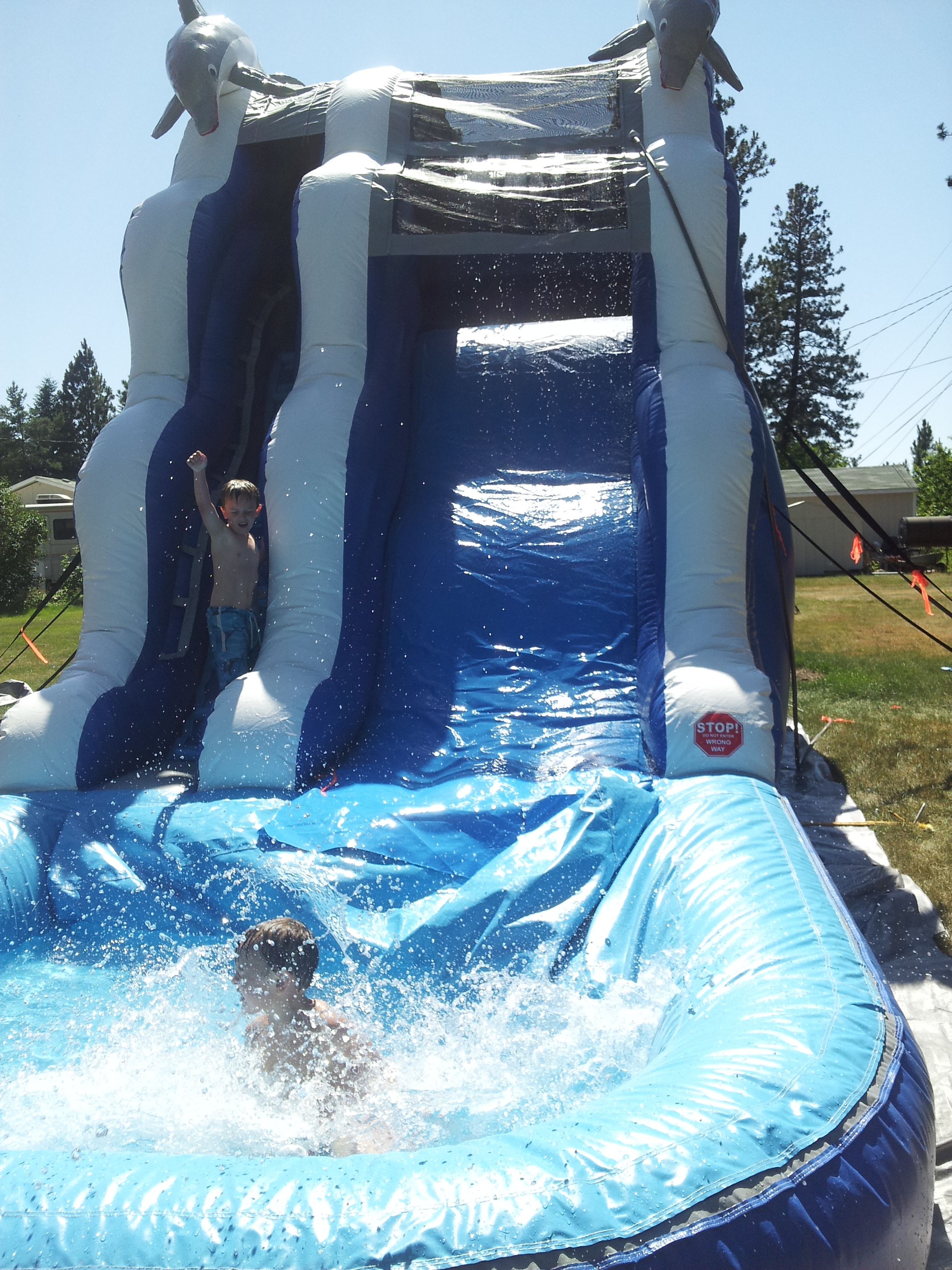 16' Dolphin Waterslide